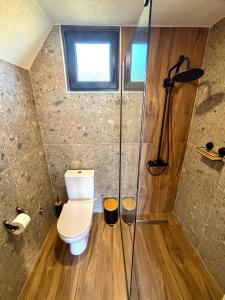 a bathroom with a toilet and a shower at Eternum Glamping in Žabljak