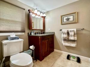 a bathroom with a toilet and a sink and a mirror at NEW Calm Cove Retreat w Dock & Beach in Alton +29 photos