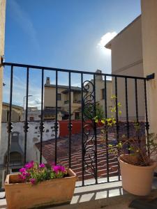 a balcony with two potted plants and a fence at B&B Mes' Agustu in Galtellì +4 photos