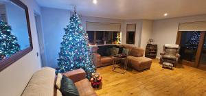 a living room with a christmas tree in it at Auchenhill Lodge in Denny