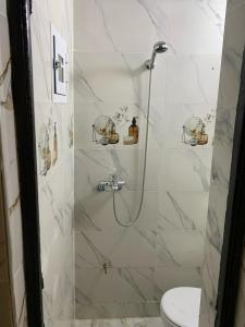 a bathroom with a shower with a toilet at RIAD Jad in Fès