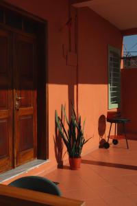 a room with a door and a potted plant on the floor at Vila 8 Kruje in Krujë +22 photos