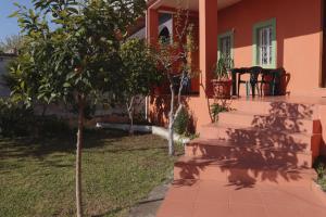 a house with two trees in front of it at Vila 8 Kruje in Krujë