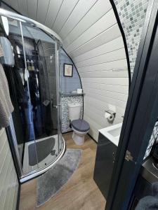金洛赫利文Coe Pod, West Highland Way Holidays的带淋浴、马桶和水槽的浴室 更多26张照片