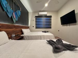 Gallery image of Hotel Ha Garden Gallery - 5th Avenue in Playa del Carmen +85 photos