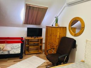 Televiisor ja/või meelelahutuskeskus majutusasutuses Gabi apartman