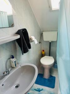 Vannituba majutusasutuses Gabi apartman