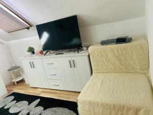 Televiisor ja/või meelelahutuskeskus majutusasutuses Gabi apartman