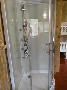 a shower with a glass door in a bathroom at Beara Lodge Glamping in Beaworthy +51 photos