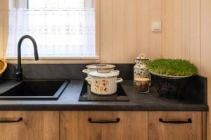 Kuchyň nebo kuchyňský kout v ubytování Apartament nad jeziorem Strykowskim