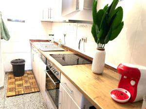 a kitchen with a vase with a plant on a counter at Piano Apartment Halle - Netflix - Free WiFi 6 in Halle an der Saale