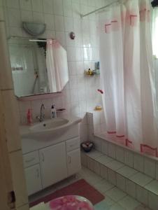Vannituba majutusasutuses Gabi apartman