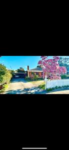 Fotografie z fotogalerie ubytování Jalynn homestay v destinaci Glen Waverley