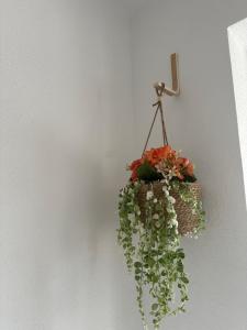 Foto sihtkohas Peñíscola asuva majutusasutuse Meleta Apartments galeriist
