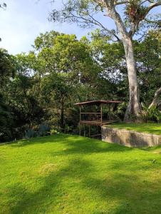 Aed väljaspool majutusasutust Treehouse Tayrona
