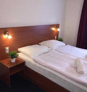 Voodi või voodid majutusasutuse Hotel ELMA toas