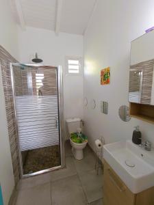 Koupelna v ubytování Kaz a Klemence Gite creole avec piscine et table dhotes a Anse Bertrand