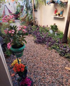 Un jardín con flores y plantas en un patio. en Pousada Casa do Peregrino, en Pesqueira 2 fotos más