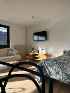ein Schlafzimmer mit einem Bett, einer Couch und einem Fernseher in der Unterkunft Studio cosy in Armentières