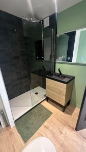 ein Badezimmer mit Dusche, Waschbecken und Ablage in der Unterkunft Studio cosy in Armentières