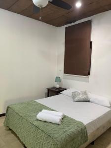 ein Schlafzimmer mit einem Bett mit einer grünen Decke in der Unterkunft Extraordinaria Casa Tranquila y Ventilada in León