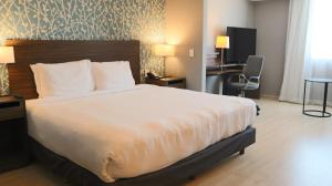 a bedroom with a large bed and a desk at Fairfield Inn & Suites by Marriott Aguascalientes in Aguascalientes