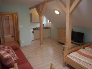 Kuchyň nebo kuchyňský kout v ubytování Apartments Viktoria Klinovec