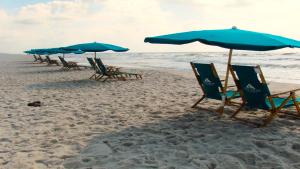 a row of chairs and umbrellas on a beach at Doral 103 - Charming Beachfront / Ground Floor Condo! in Gulf Shores