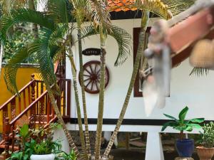 Coco palace resort外面的花园