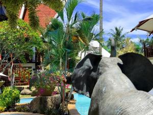 Coco palace resort外面的花园