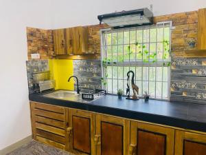 Η κουζίνα ή μικρή κουζίνα στο Luxury Villa in Kandy Road