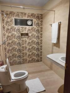 a bathroom with a toilet and a sink at Hotel Silver Sand Multan in Multan
