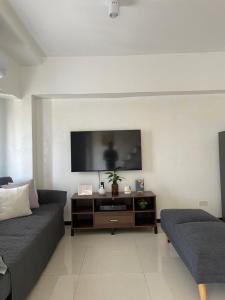 TV a/nebo společenská místnost v ubytování The Penthouse Suite