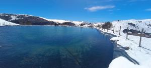 Naturlandskabet i nærheden af lejligheden