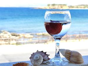 Ποτά στο Lily of Crete 2 - Sea & Beach front Apartment