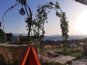 a garden with two trees and a red cloth at B&B Santo Stefano in Campobasso
