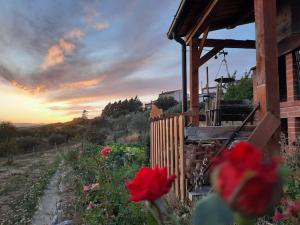 a house with red flowers in front of a building at B&B Santo Stefano in Campobasso