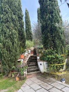 ogród z drzewami, schodami i roślinami doniczkowymi w obiekcie Castellino di Malborghetto w mieście Montelupo Fiorentino
