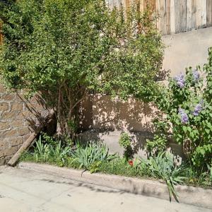 Gallery image of House 56 in Yerevan