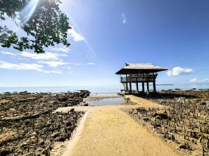 a dirt road leading to a hut on a beach at Sandybridge Eco Farm at Relly's Restaurant in Puerto Princesa City