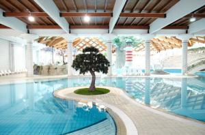 a swimming pool with a tree in the middle of it at BRUNARICA VINTAGE 83 - nastanitev z vključenimi kopalnimi kartami - with Thermal Riviera Tickets included in Brežice +9 photos