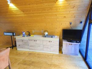 a room with a wooden wall with a television and a desk at Xalxal Luxe Lodge in Oğuz
