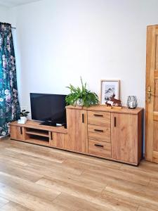 ein großes hölzernes Entertainment-Center mit einem Flachbild-TV in der Unterkunft Apartament dzika róża in Kowary