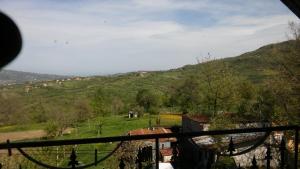 Táj az apartmanhotel közelében