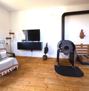 TV a/nebo společenská místnost v ubytování Ferienwohnung, nahe dem Faaker See