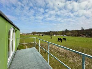 Zvířata v luxury tent nebo okolí