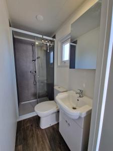 a bathroom with a shower and a toilet and a sink at Camping Wad noch Meer in Anna Paulowna