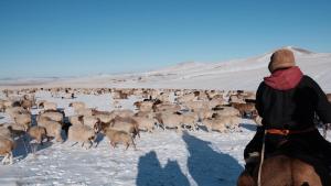 Ảnh trong thư viện ảnh của Khustai Nomad Family Stay ở Argalant