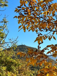 Un paisaje natural cerca of the bed and breakfast
