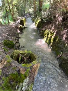Un paisaje natural cerca of the bed and breakfast